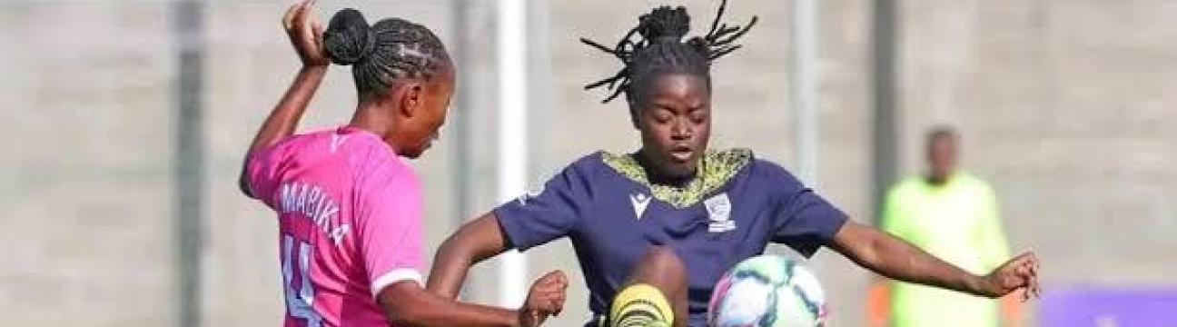 ZWPSL Players
